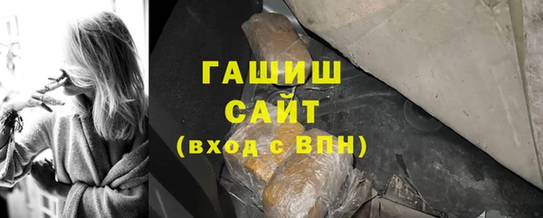 соль ск Няндома