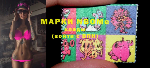 соль ск Няндома