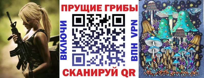 Галлюциногенные грибы MAGIC MUSHROOMS  omg маркетплейс  Каменск-Шахтинский 